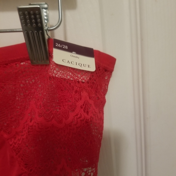 Lane Bryant Panties - Picture 2 of 5